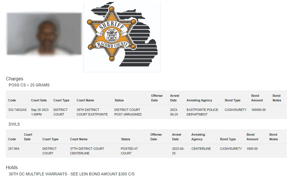 A screenshot showing an Inmate Locator search result sample showing the inmate's mugshot, charge information, holds, and other details.